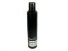 Tigi Catwalk Session Series Work It Hairspray (W) lakier do włosów 300ml